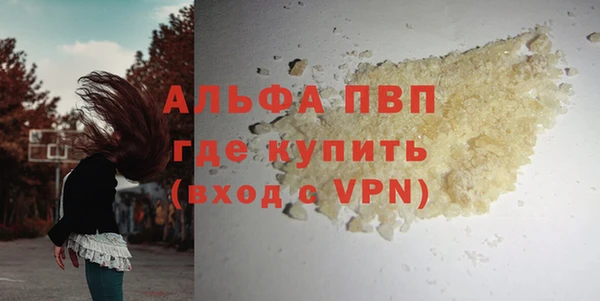 стаф Алексин
