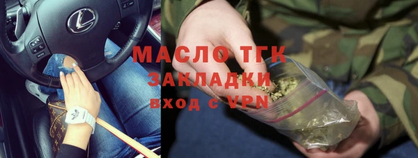 стаф Алексин