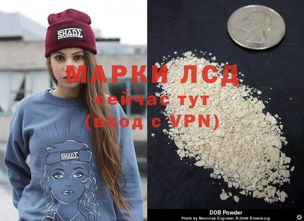 стаф Алексин