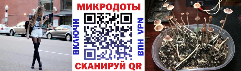 Псилоцибиновые грибы GOLDEN TEACHER Десногорск