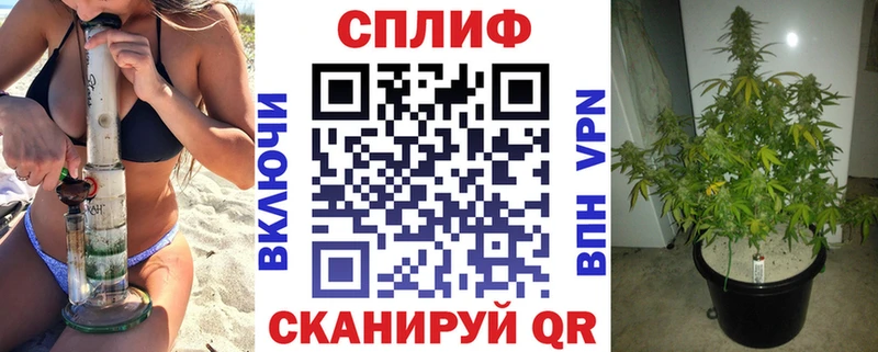 ОМГ ОМГ как зайти  Десногорск  Бошки марихуана Bruce Banner 